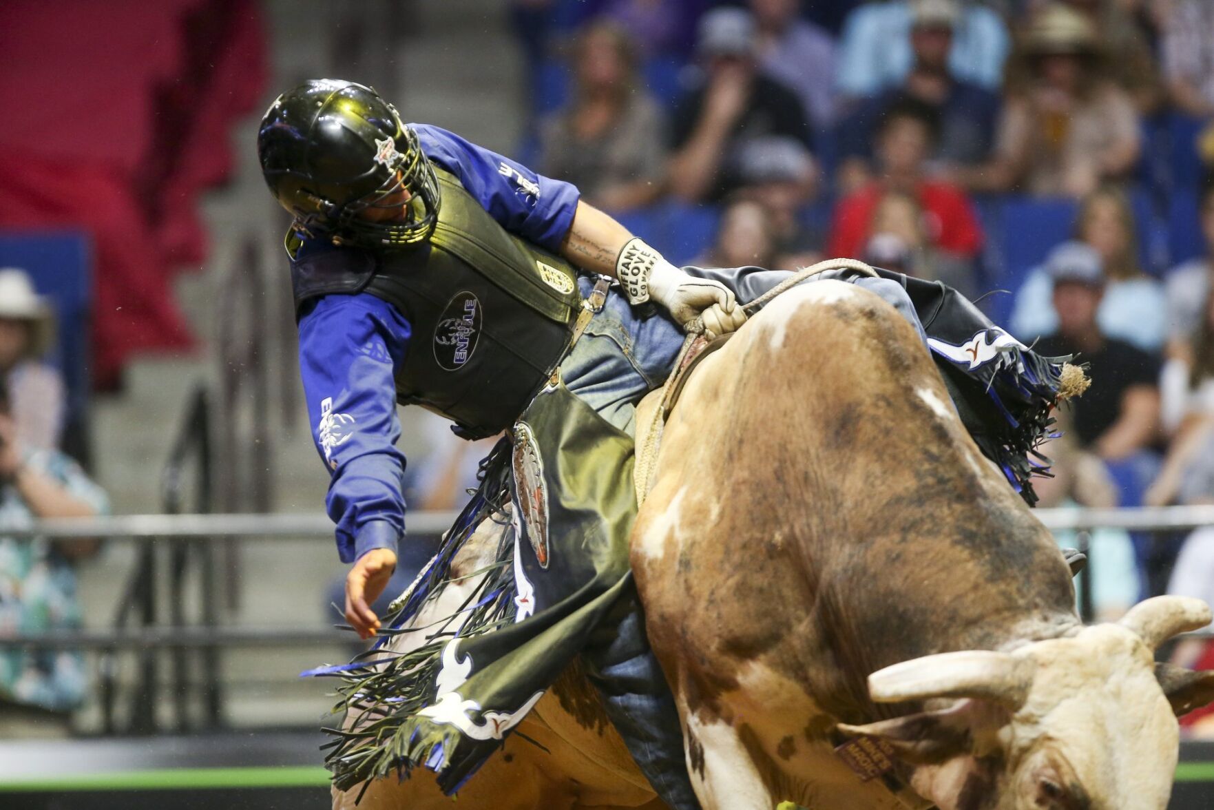 PBR Unleash The Beast